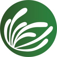 Climate Strategies Logo