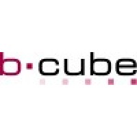 b-cube Logo