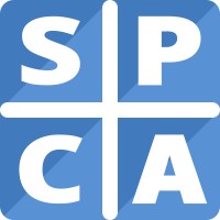 Simple Project Canvas Logo