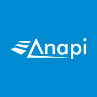ANAPI Logo
