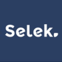 Selek Group Logo