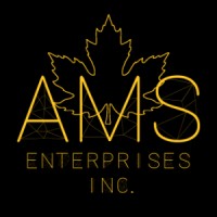 American Marketing Service Enterprises Inc. Logo