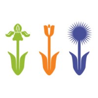 Little Miracles Designs LLC Logo