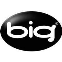 Bilbao Innovation Group (BIG) Logo