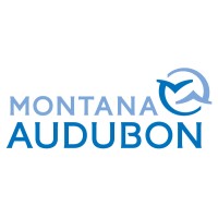 Montana Audubon Logo