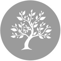 Practitioners Nederland Logo