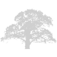 Oaktree Consulting LLC Logo