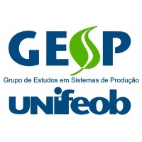 GESP-UNIFEOB Logo