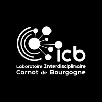 Laboratoire ICB Logo