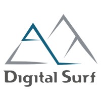 Digital Surf Logo