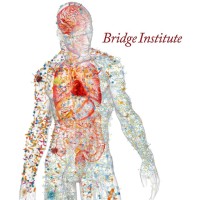 USC Bridge Institute Logo