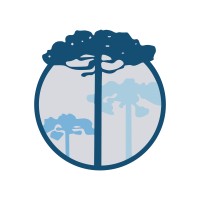 Murayama e Maciel Consultores Associados Logo