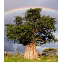 HOPE LAND BUSINESS Logo