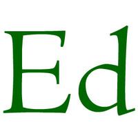 Ed Noyes Consulting Logo