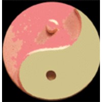 Beepampered Wholistic Healing Logo