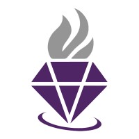 VIPIGNITE Logo