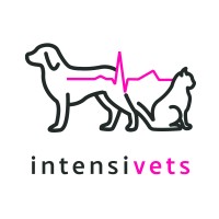 Intensivets Logo