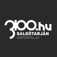 3100.hu Logo