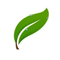 Seasonal Solutions Inc. Logo