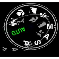 Nikki M Photography Logo