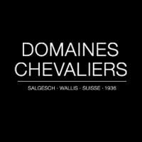 Domaines Chevaliers SA Logo