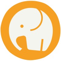 Nenosys Logo