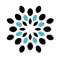 Hakuna Consulting Logo