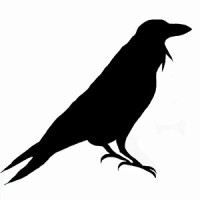Ravencon Ltd Logo