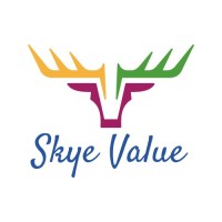 Skye Value B.V. Logo