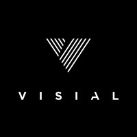 Visial Logo