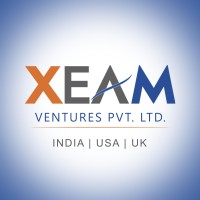 XEAM VENTURES PVT LTD. Logo