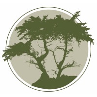 Twig & Turf Title Co. Logo