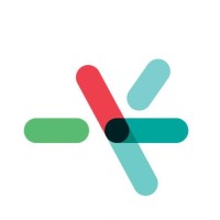 Nexion S.R.L. Logo