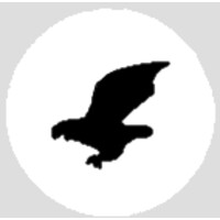 BlackBird Media Logo