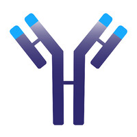 Immunovant Logo