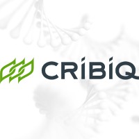 CRIBIQ Consortium de recherche et innovations en bioprocédés industriels au Québec Logo