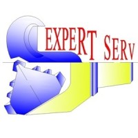 Expert Serv Logo