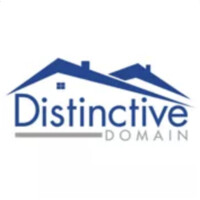Distinctive Domain Logo