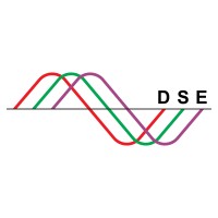 Diversified Security Engineering Logo