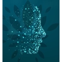 Humano Mais Desenvolvimento Organizacional Logo