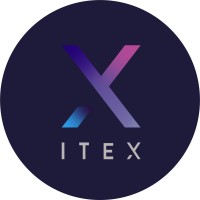 ITEX Partners Logo