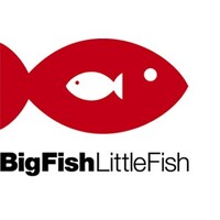 Big Fish Little Fish Recruitment Logo