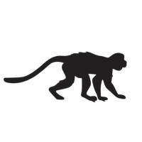 Wanderoo Logo