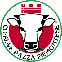 Coalvi Logo