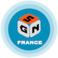 Serious Games Network-France Logo