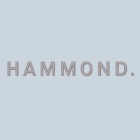 The Hammond Group LLC Logo