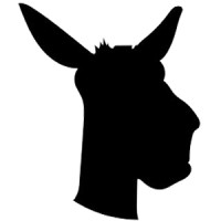 Donkey Performance Logo
