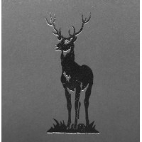 Moor Park 1958 Limited Logo