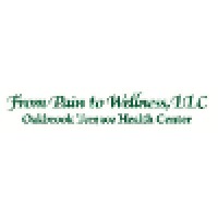 From Pain to Wellness Logo