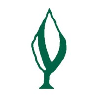 Yew Tree Gallery Logo